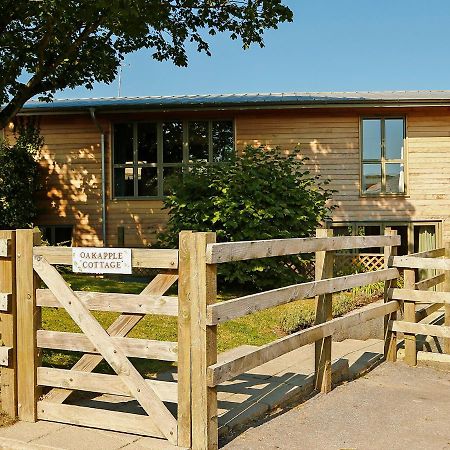 Oak Apple Villa Newton Abbot Luaran gambar